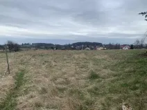 Dražba louky, Nový Oldřichov, 1549 m2