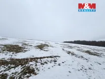 Prodej louky, Lichkov, 7222 m2