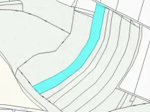 Prodej lesa, Olbramice, 12592 m2