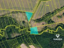 Prodej pole, Holasovice, 5314 m2