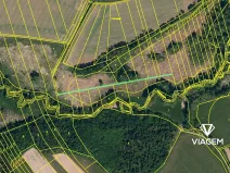 Prodej pole, Holasovice, 5314 m2