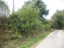 Prodej pozemku, Střelské Hoštice - Kozlov, 56 m2