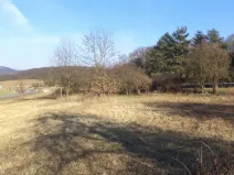 Prodej pozemku, Řehlovice - Radejčín, 2962 m2