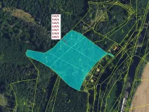 Dražba lesa, Lhota Rapotina, 11294 m2