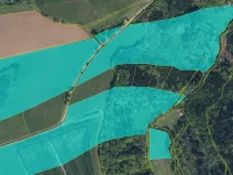 Prodej lesa, Lukavice, 90440 m2