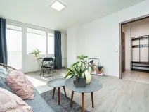 Pronájem bytu 1+kk, Kralupy nad Vltavou, Krakovská, 27 m2