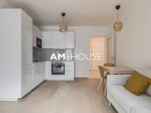 Pronájem bytu 2+kk, Praha - Karlín, Křižíkova, 49 m2