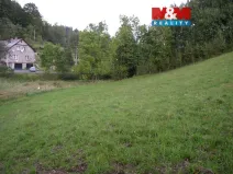 Prodej louky, Janův Důl, 2749 m2