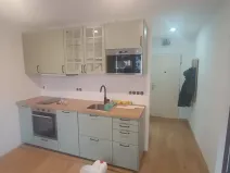 Pronájem bytu 1+1, Plzeň, Na Dlouhých, 40 m2