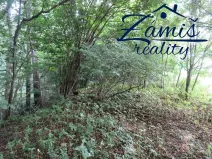 Prodej lesa, Pohledy, 7200 m2