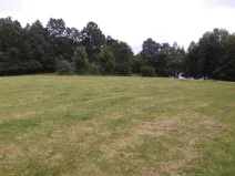 Dražba louky, Vlčice, 1566 m2