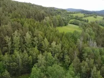 Dražba louky, Rejštejn, 1970 m2