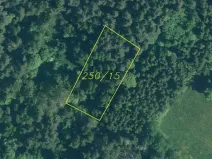 Dražba louky, Rejštejn, 1970 m2