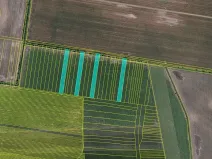 Prodej pole, Blučina, 19297 m2