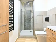 Pronájem bytu 2+kk, Chomutov, Holešická, 42 m2