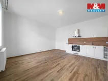 Pronájem bytu 1+kk, Plzeň - Východní Předměstí, 24 m2