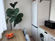 Prodej bytu 2+1, Vodňany - Vodňany II, Výstavní, 65 m2