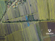 Prodej podílu pole, Kněždub, 811 m2