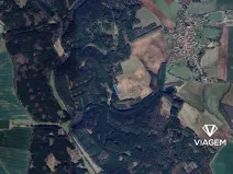 Prodej lesa, Konojedy, 3288 m2