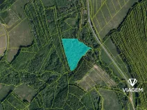 Prodej lesa, Doubravy, 20718 m2