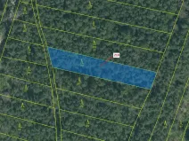 Dražba lesa, Vesce, 1673 m2