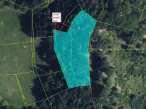 Dražba lesa, Vranová Lhota, 3744 m2