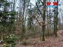 Prodej lesa, Krašlovice, 9178 m2