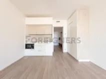 Pronájem bytu 1+kk, Praha - Libeň, Kurta Konráda, 30 m2