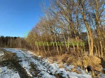 Prodej lesa, Světlá nad Sázavou, 48055 m2