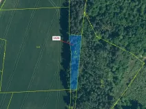 Dražba lesa, Hradiště, 645 m2