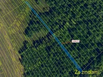 Dražba lesa, Ivančice, 255 m2