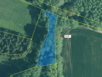 Dražba lesa, Kuřimany, 875 m2