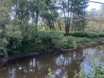 Dražba pozemku, Mimoň, 11189 m2