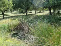 Prodej pozemku pro bydlení, Vlachovo Březí, 16463 m2