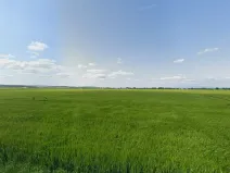 Prodej pole, Těšetice, 70784 m2