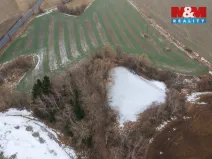 Prodej rybníku, Pelhřimov - Starý Pelhřimov, 2951 m2