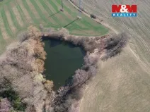 Prodej rybníku, Pelhřimov - Starý Pelhřimov, 2951 m2