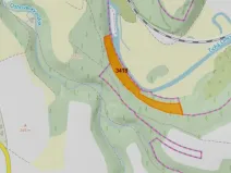 Prodej lesa, Oucmanice, 19661 m2