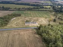 Prodej louky, Starý Plzenec, Bezručova, 18000 m2