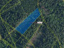 Dražba lesa, Jílové u Držkova, 4305 m2