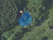 Dražba lesa, Vlašim, 838 m2