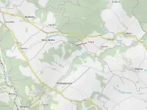 Dražba lesa, Přemyslovice, 7901 m2