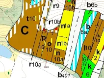 Dražba lesa, Přílepy, 7060 m2