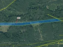 Dražba lesa, Jesenice, 12984 m2