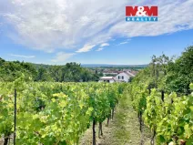 Prodej vinného sklepa, Perná, 31 m2