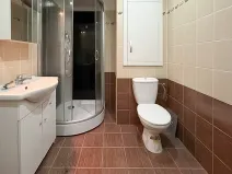 Pronájem bytu 1+1, Kostelec u Holešova, 42 m2