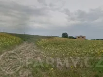 Prodej pole, Kyjov, 69892 m2