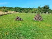 Prodej zahrady, Uherský Brod, 1066 m2