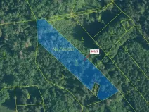 Dražba lesa, Zavlekov, 2895 m2