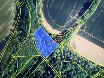 Prodej lesa, Polom, 4700 m2